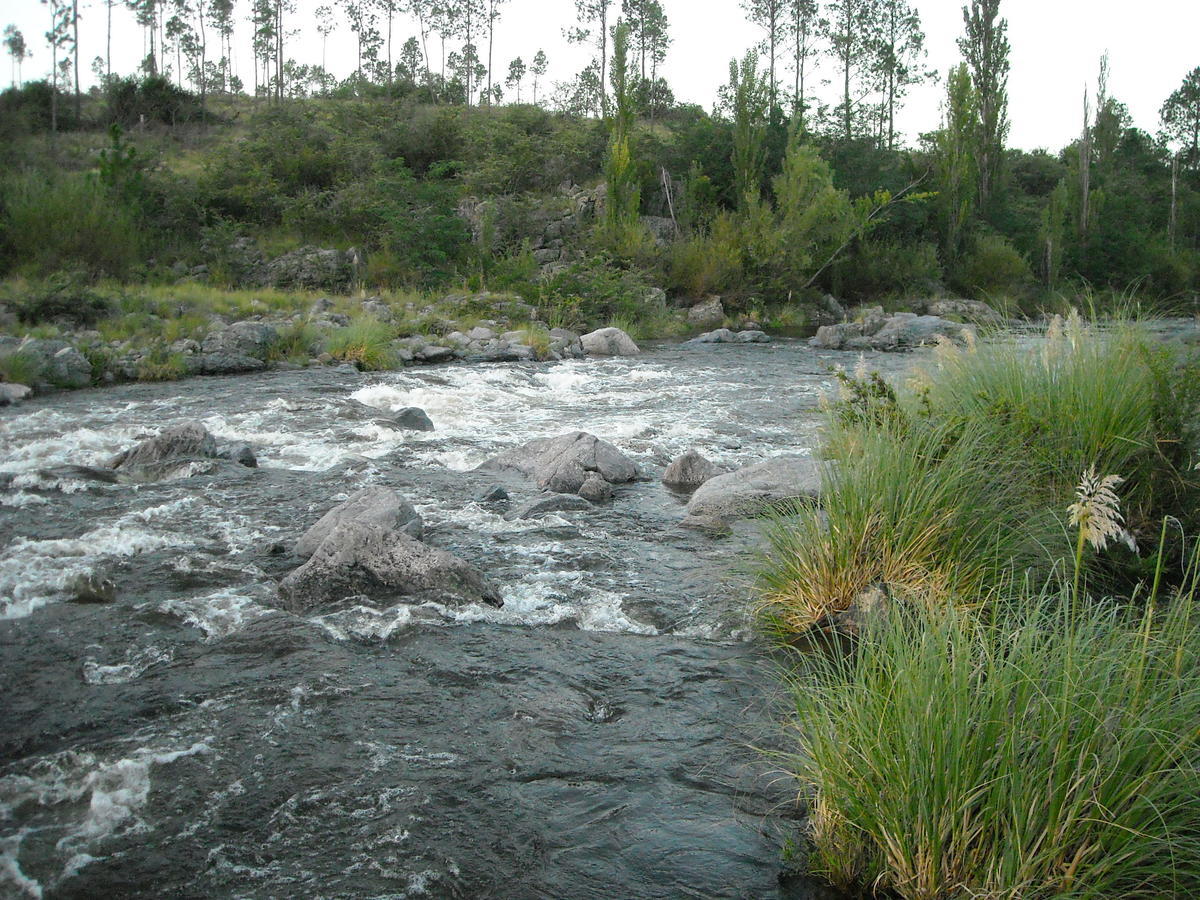 Cabanas Ecos Del Rio Los Reartes Δωμάτιο φωτογραφία